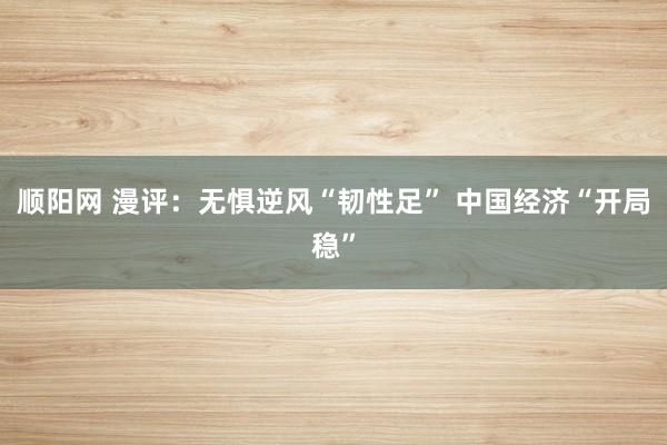 顺阳网 漫评：无惧逆风“韧性足” 中国经济“开局稳”