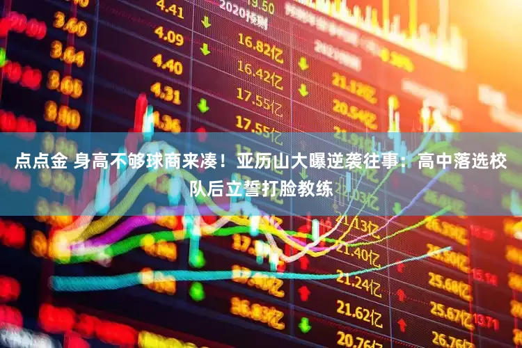 点点金 身高不够球商来凑！亚历山大曝逆袭往事：高中落选校队后立誓打脸教练